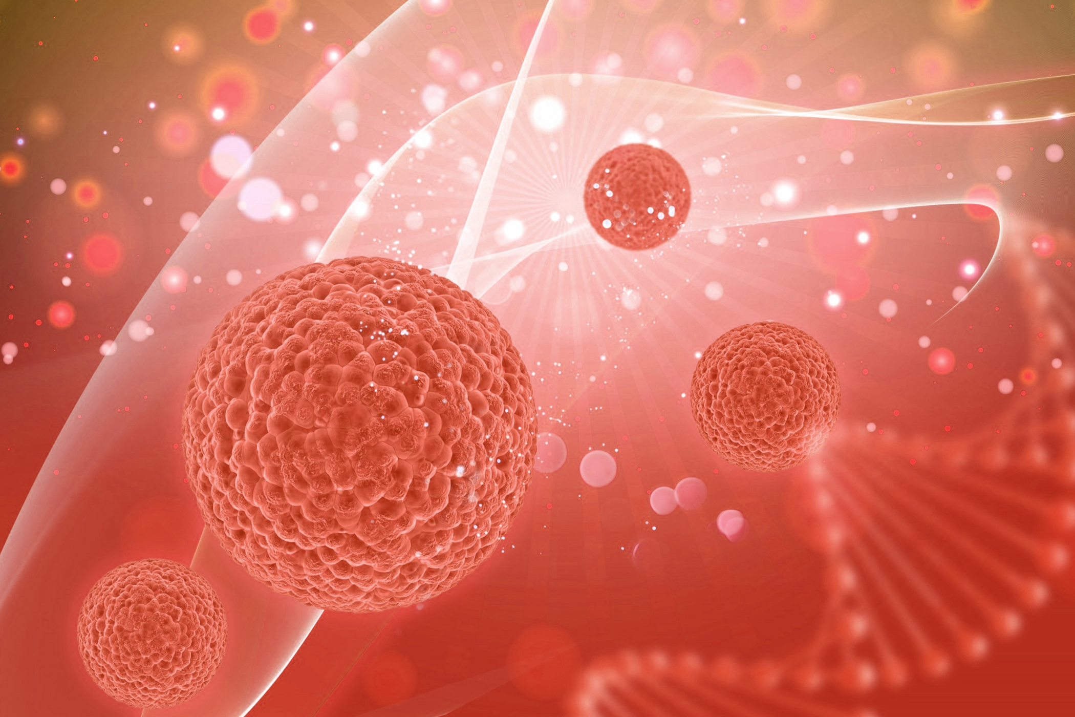 การรักษามะเร็งด้วยวิธี
เซลล์ภูมิคุ้มกันบำบัดที-เซลล์ แบบลูกผสมที่มีความจำเพาะต่อโปรตีนของเซลล์มะเร็งเต้านม