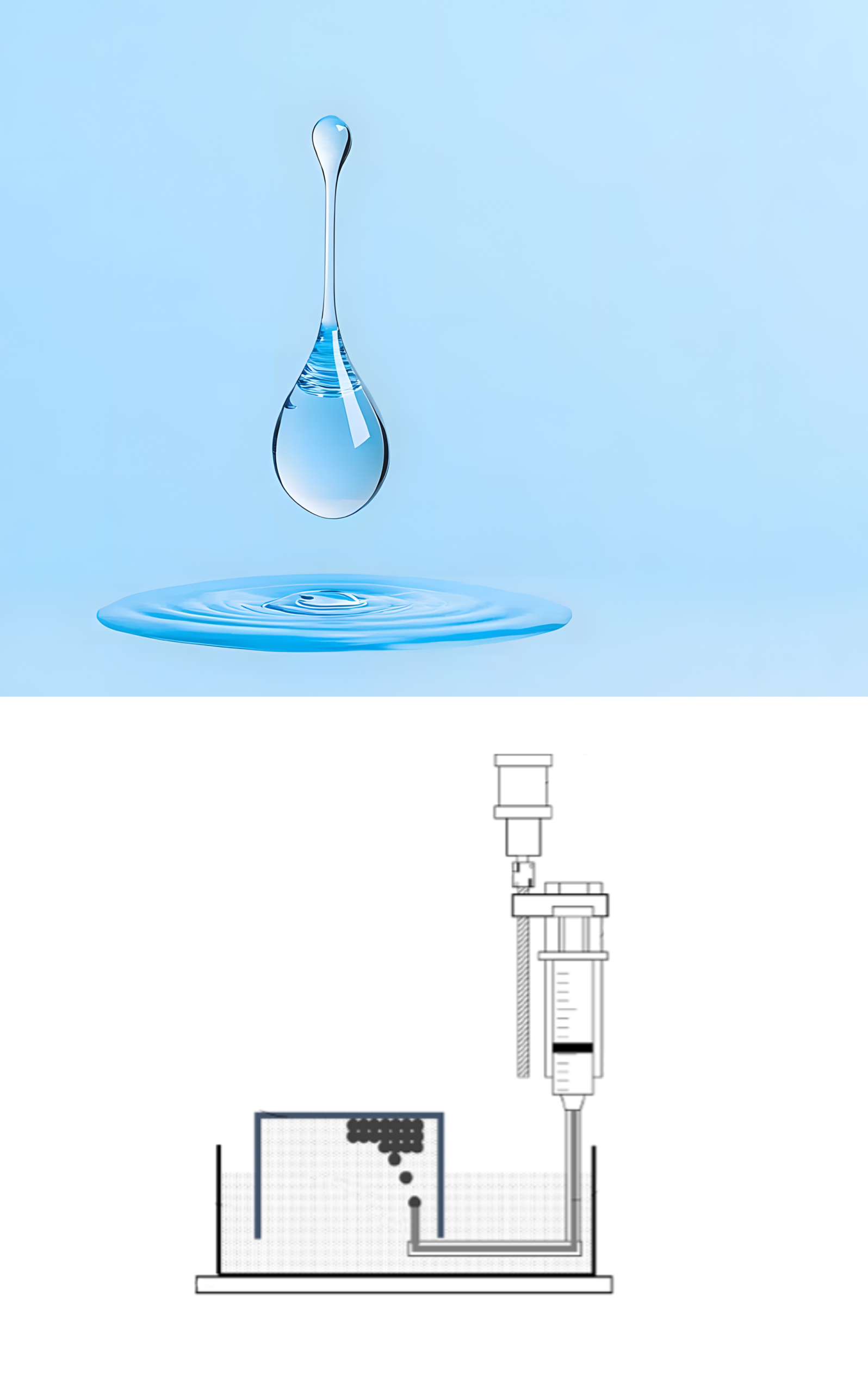 องค์ประกอบสารสกัด “กระชายขาว” เคลียร์เม็ดสี ลดเลือนจุดด่างดำ
