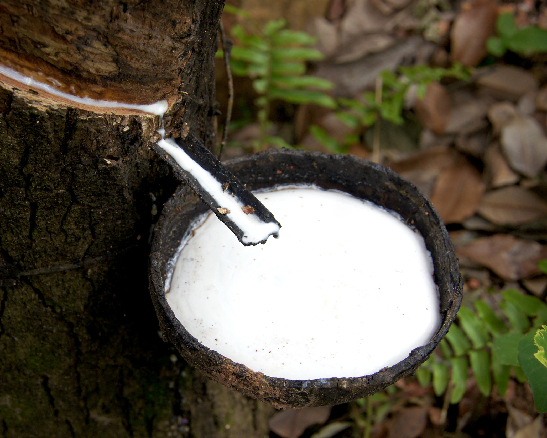 เครื่องพิมพ์สามมิติและกรรมวิธีขึ้นรูปน้ำยางธรรมชาติ